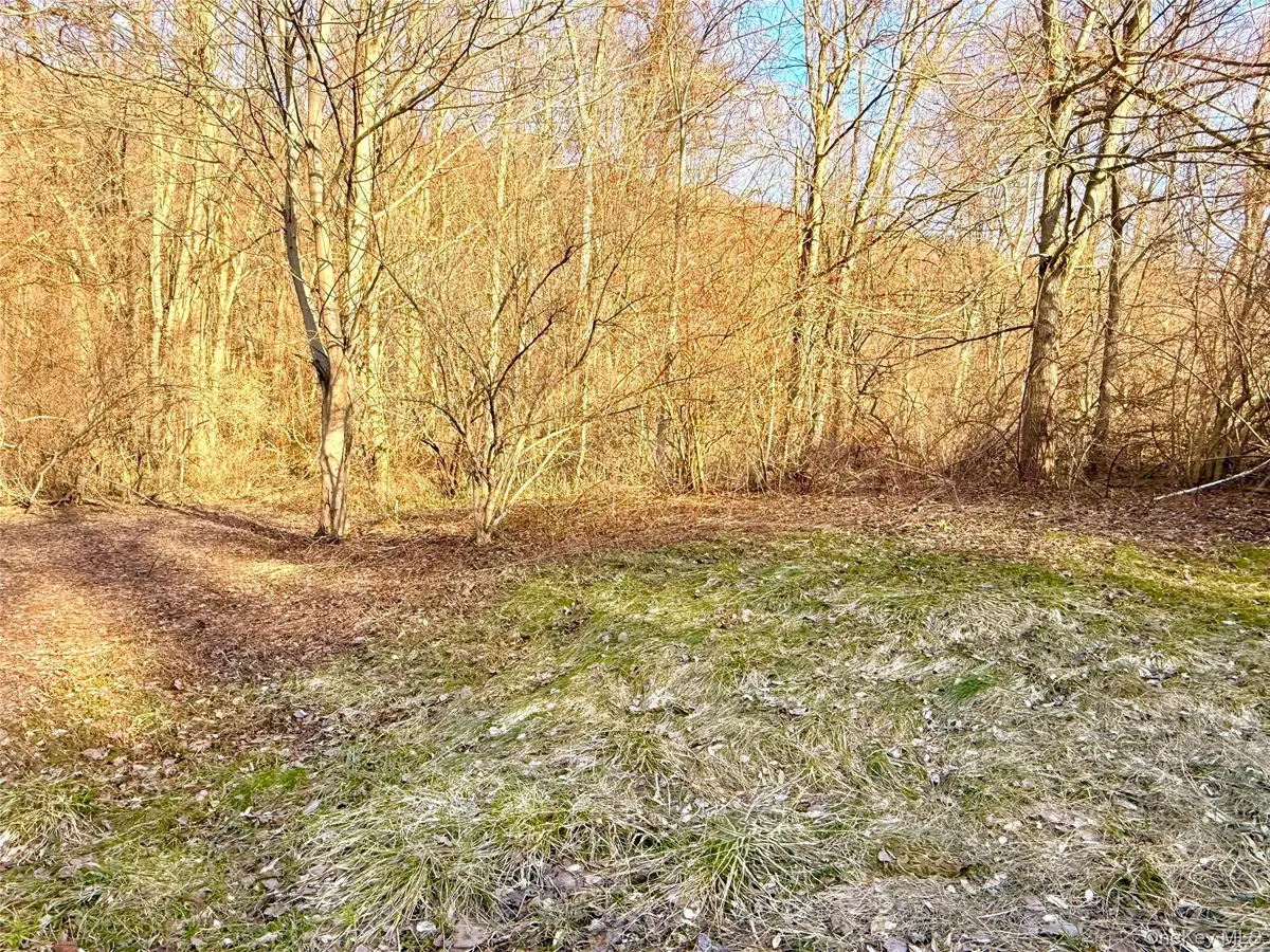 Route 22, Wingdale, NY 12594 - #1