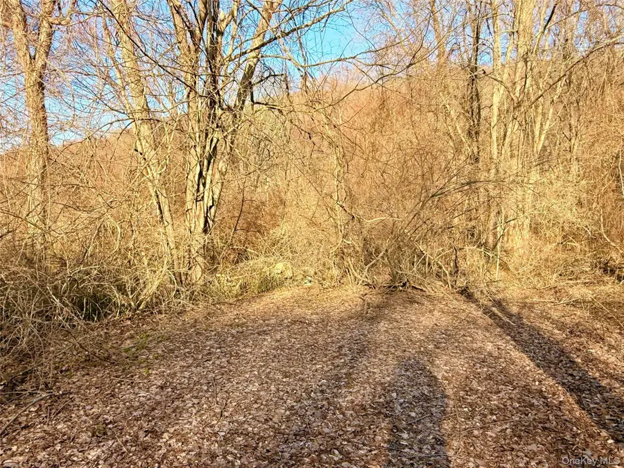 Route 22, Wingdale, NY 12594 - #3