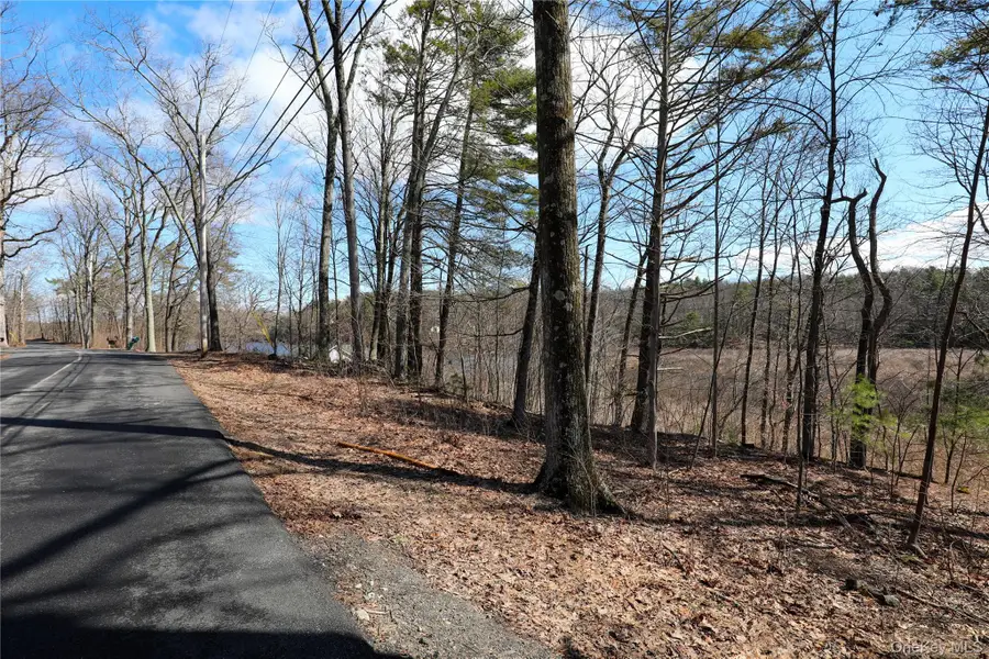 176 Lake Road, Lake Katrine, NY 12449 - #3
