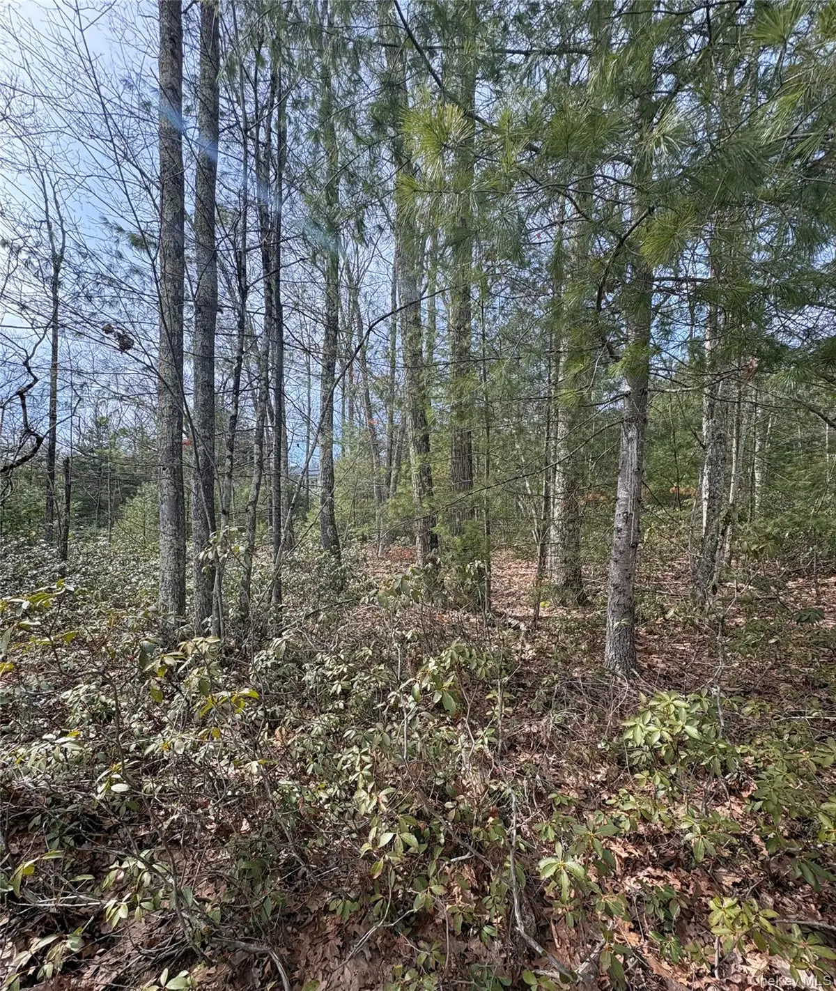 Bennett Road, Napanoch, NY 12458 - #1