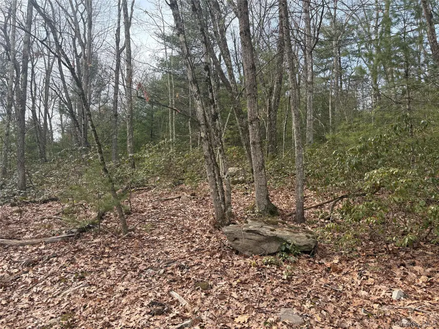 Bennett Road, Napanoch, NY 12458 - #3