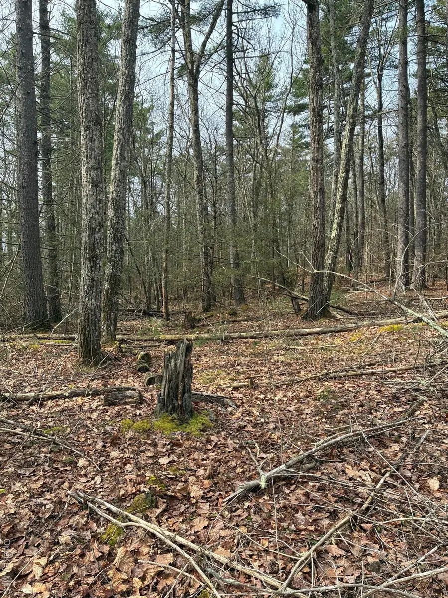 Rambling Road, Wurtsboro, NY 12790 - #2