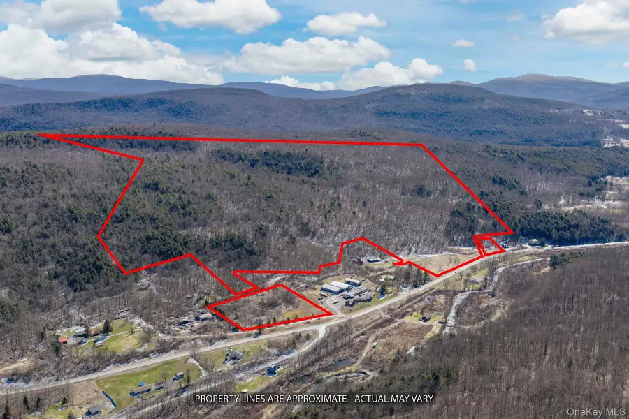 191 Mill Road, Margaretville, NY 12455 - #2