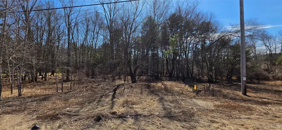 Lot 18.12 Rt. 17b, Bethel, NY 12720 - #2