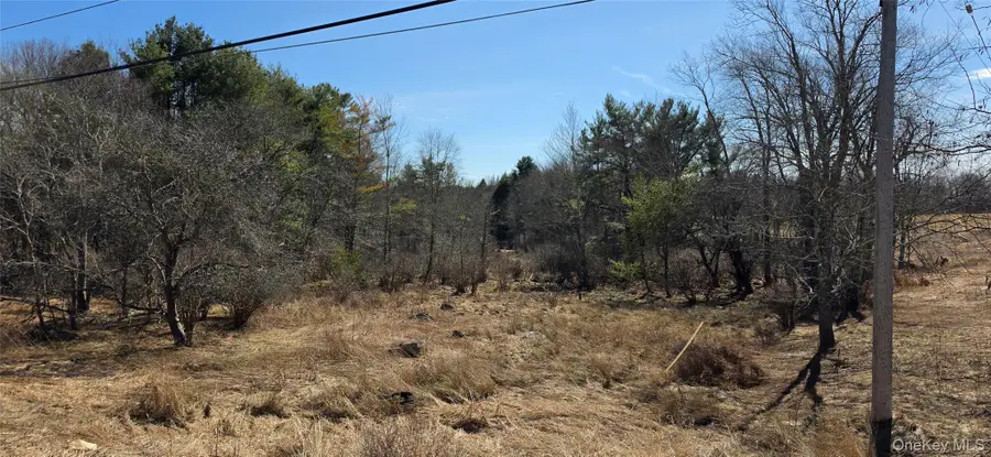 Lot 18.12 Rt. 17b, Bethel, NY 12720 - #3