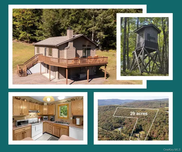 815 Covert Hollow Road, Hamden, NY 13782