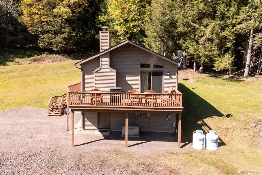 815 Covert Hollow Road, Hamden, NY 13782 - #2