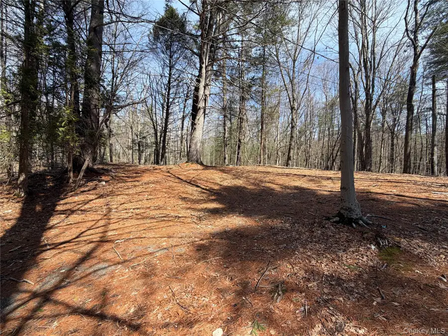 42 Yorkville Park Road, Bloomingburg, NY 12721 - #2