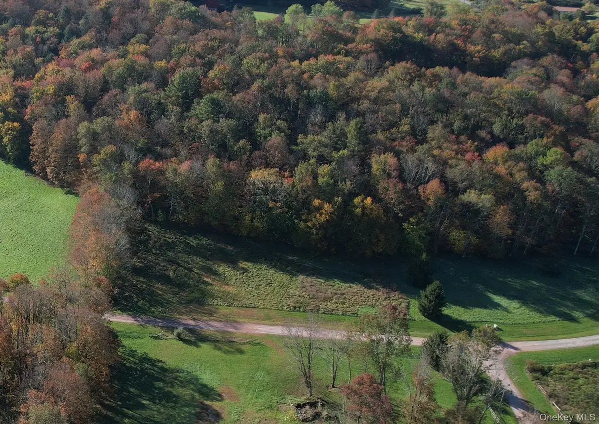 Lot 10 Timber Drive Road, Cochecton, NY 12726 - #1