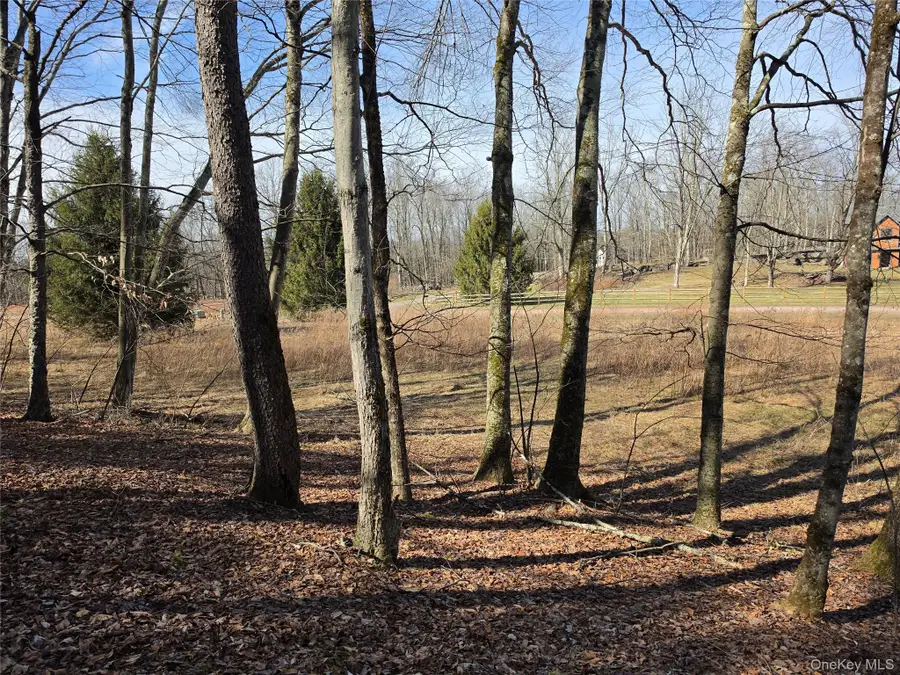 Lot 10 Timber Drive Road, Cochecton, NY 12726 - #3