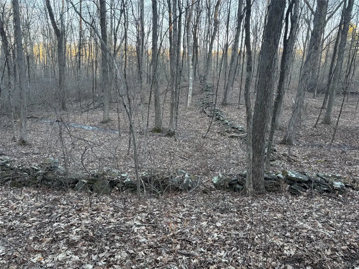 Barkit Kennel Rd, Pleasant Valley, NY 12569 - #1