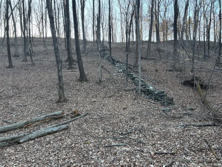 Barkit Kennel Rd, Pleasant Valley, NY 12569 - #3