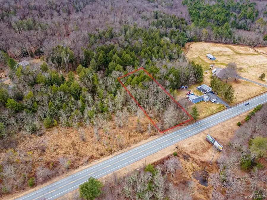 Route 52, Wawarsing, NY 12489 - #3