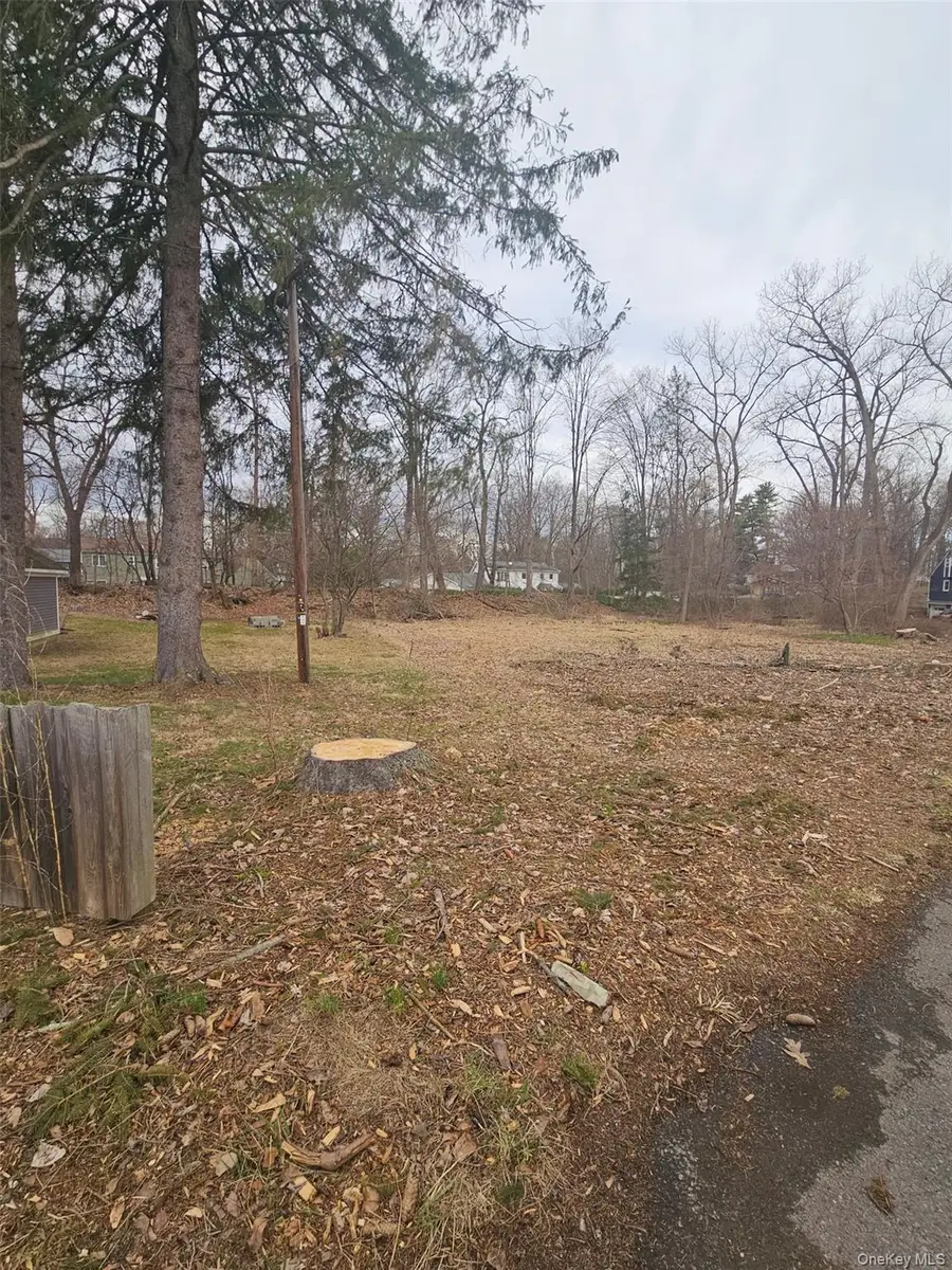 Garden Street, Hyde Park, NY 12538 - #3