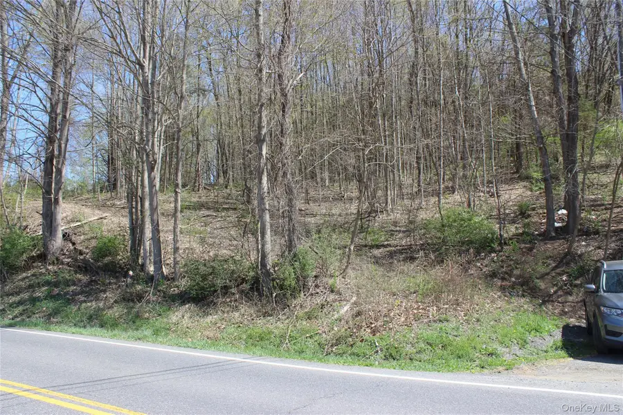 0 Old State Route 22, Amenia, NY 12501 - #2