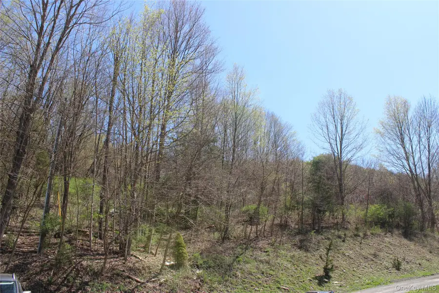 0 Old State Route 22, Amenia, NY 12501 - #3