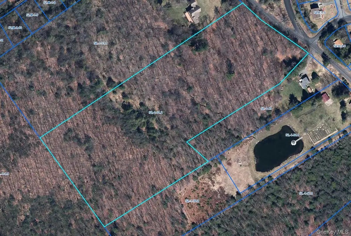 TBD Old Sackett Road, Rock Hill, NY 12775 - #1