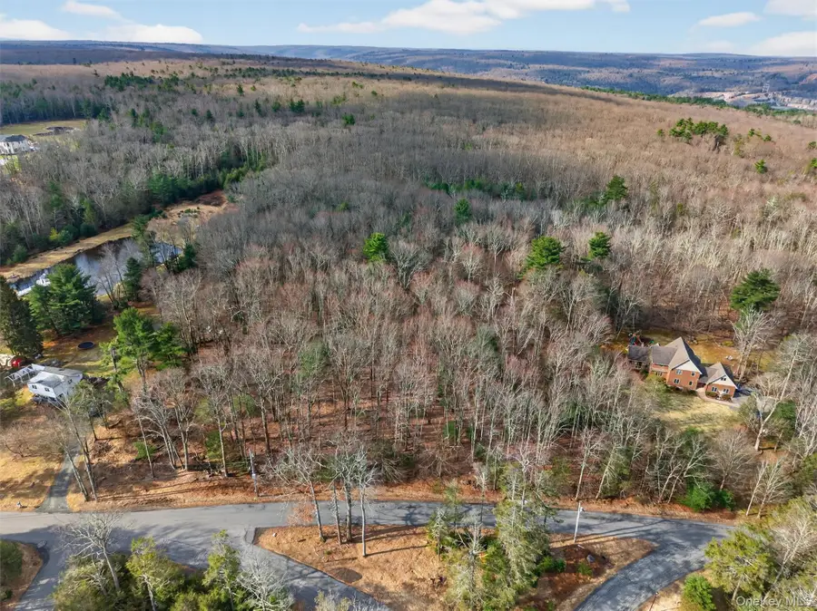 TBD Old Sackett Road, Rock Hill, NY 12775 - #2