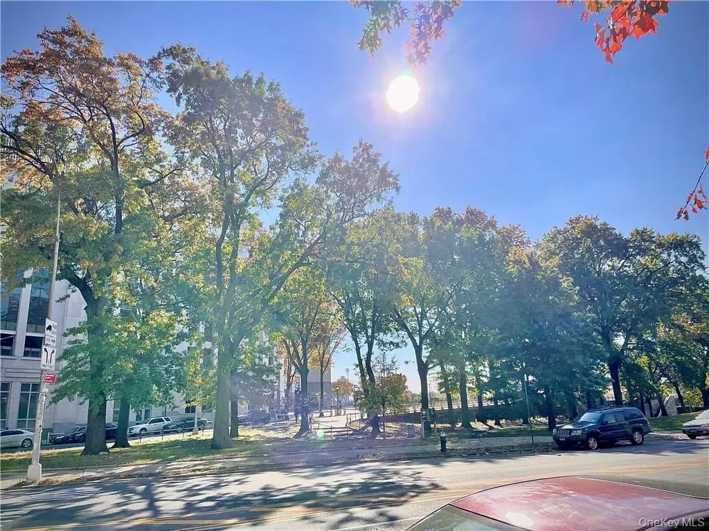 941 Jerome Avenue #3B, Bronx, NY 10452 - #1