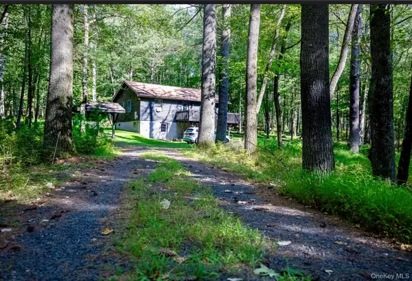 30 Woods Road, Yulan, NY 12792