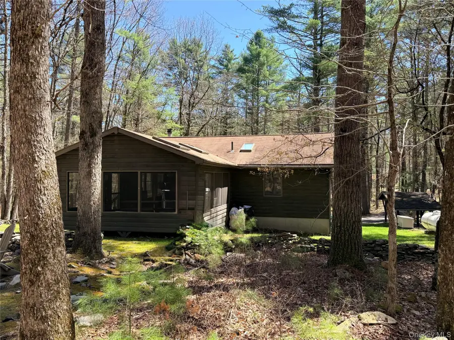 30 Woods Road, Yulan, NY 12792 - #3