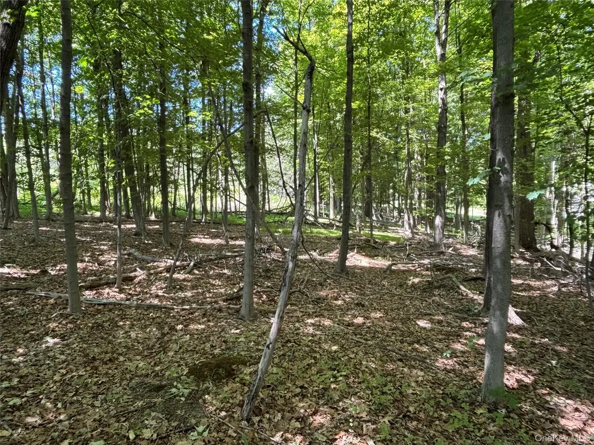 0 Smith Road, Poughkeepsie, NY 12603 - #1