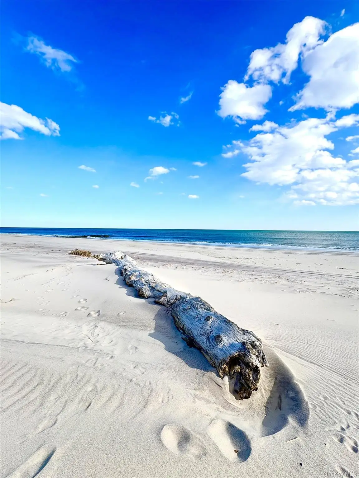 253 Dune #49, Westhampton Beach, NY 11978 - #1