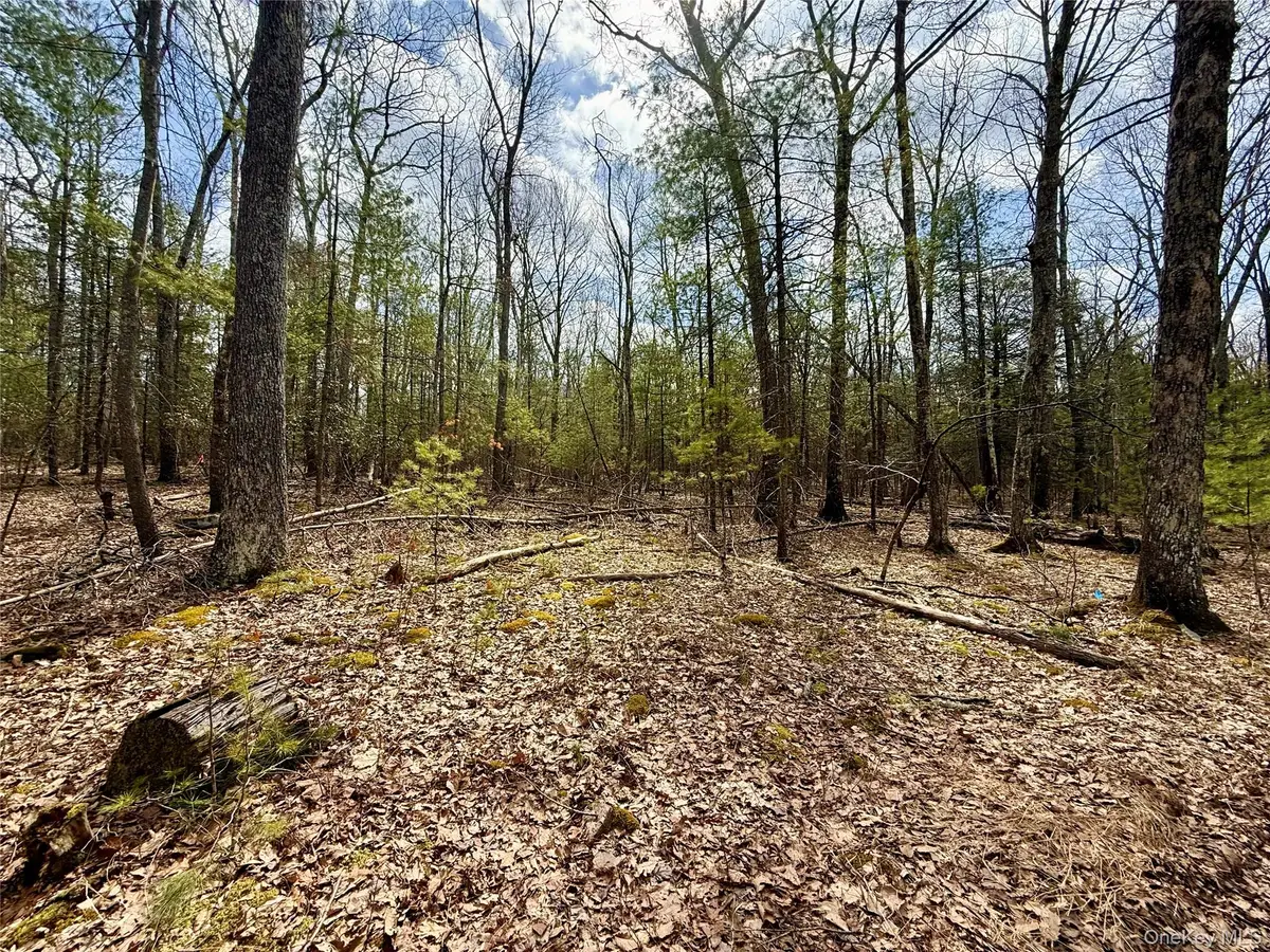 Marko Drive, Highland, NY 12528 - #1