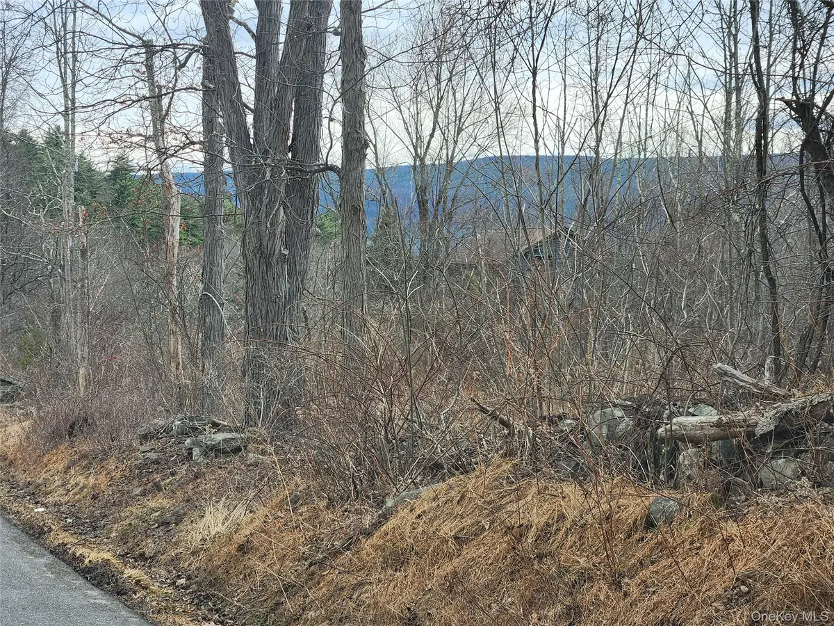 Irish Cape Road, Ellenville, NY 12428 - #1