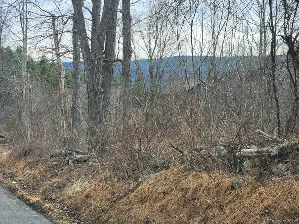 Irish Cape Road, Ellenville, NY 12428