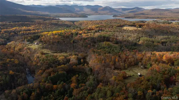 363 Beaverkill Road, Olivebridge, NY 12461