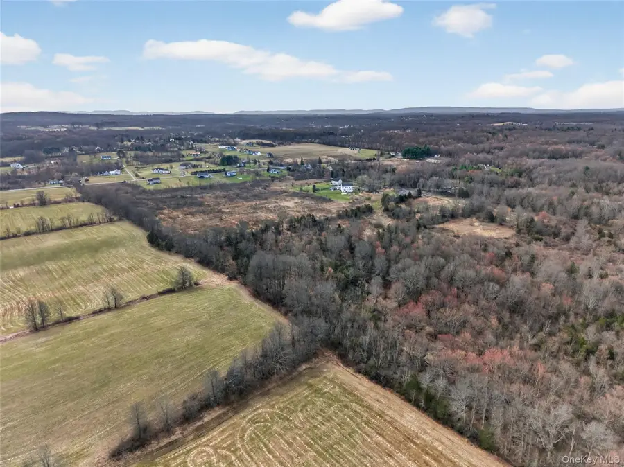 42 Wildrick Road, Wallkill, NY 12589 - #2