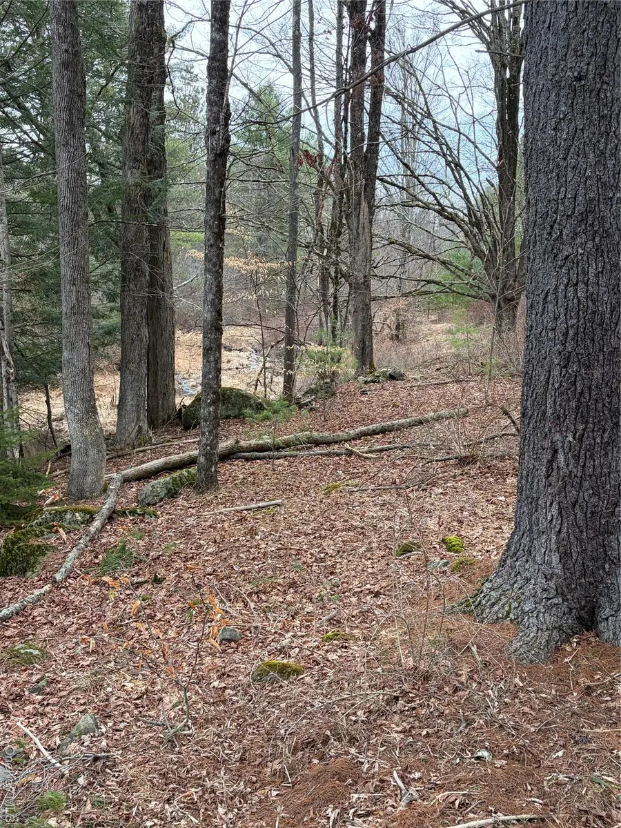 378 Gregory Road, Monticello, NY 12701 - #2