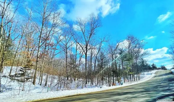 574 Sleepy Hollow Road, Athens, NY 12015