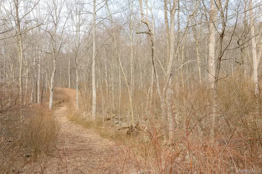 530 Eder Road, Stormville, NY 12582 - #3