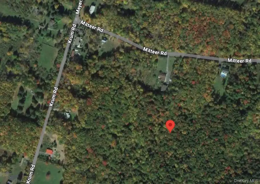 Mitteer Road, Hurleyville, NY 12733 - #2