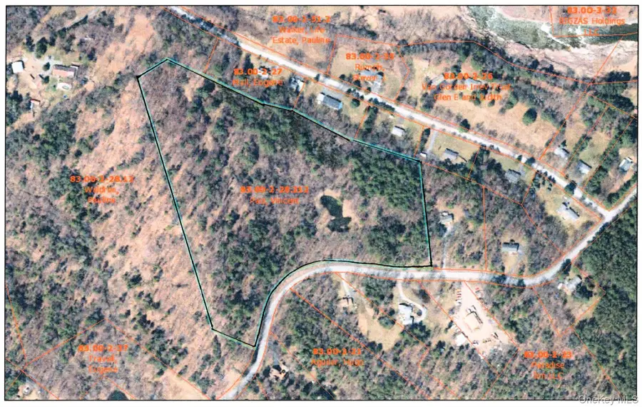 TBD Frank Hitchcock Road, Cairo, NY 12413 - #3