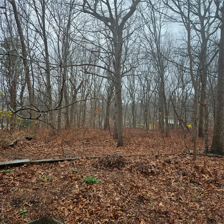 Lots 10 & 18 Linden Avenue, Kings Park, NY 11754 - #3