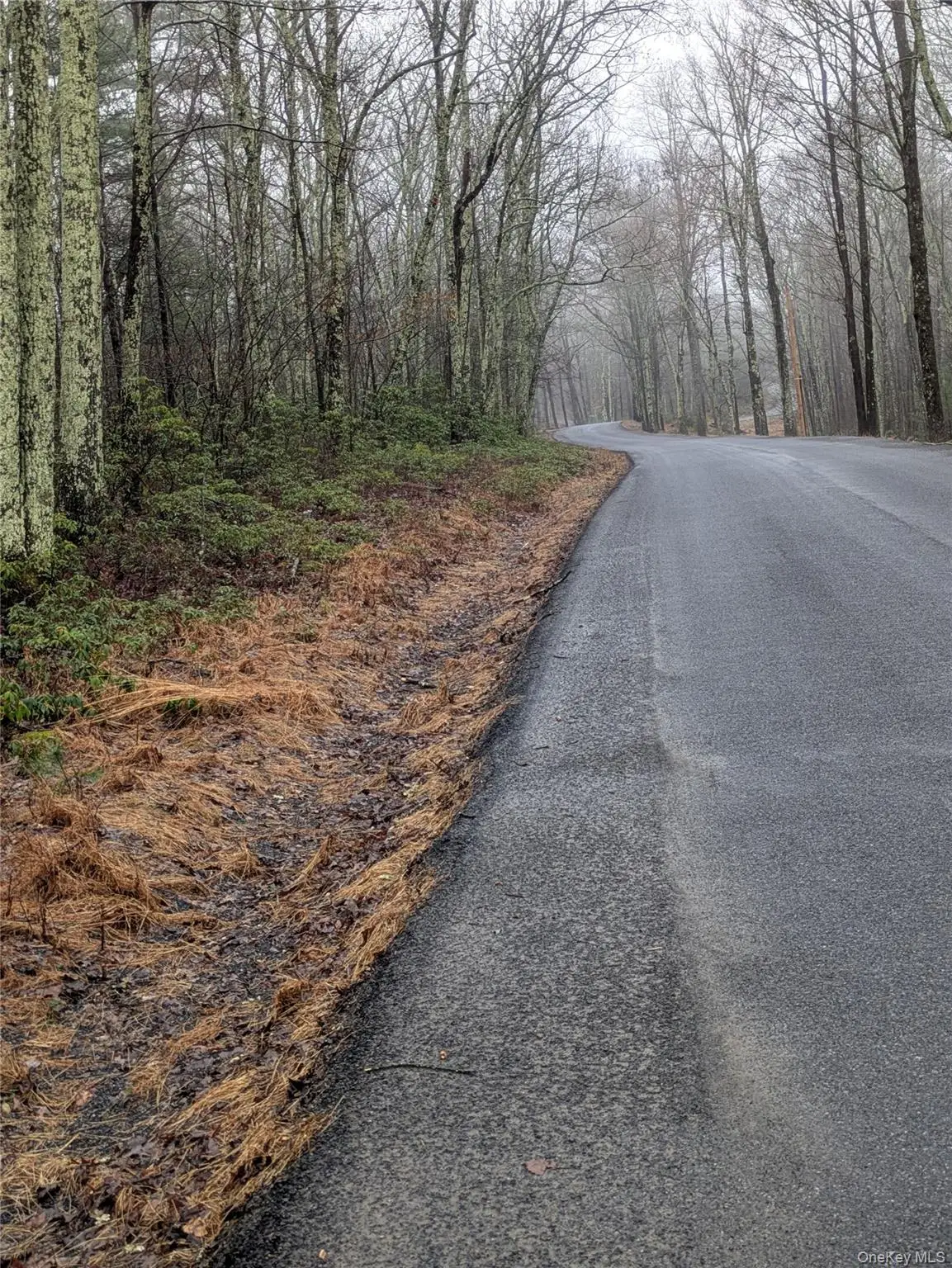 97 Otens Road, Wawarsing, NY 12489 - #1