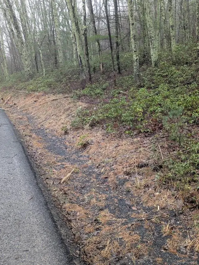 99 Otens Road, Wawarsing, NY 12489 - #1