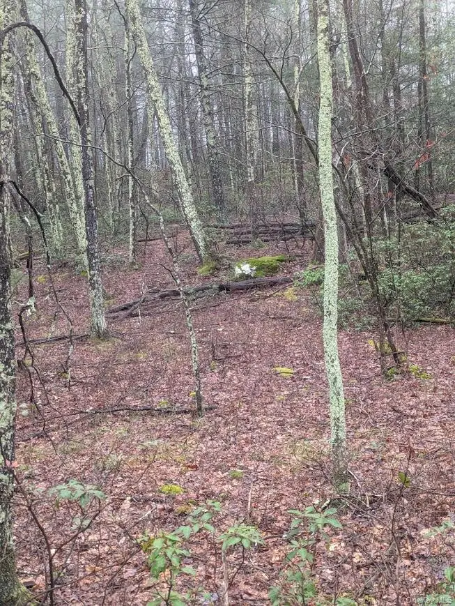 99 Otens Road, Wawarsing, NY 12489 - #3