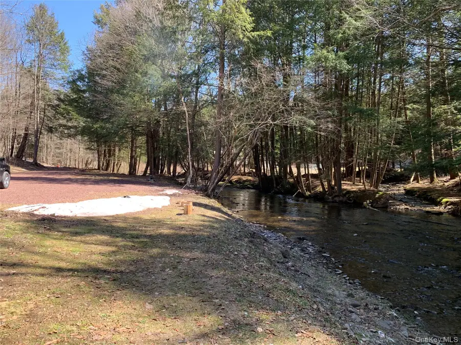 604 Basket Road, Long Eddy, NY 12760 - #2