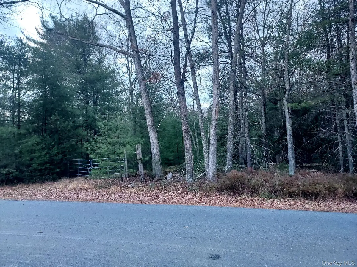 White, Lumberland, NY 12770 - #1