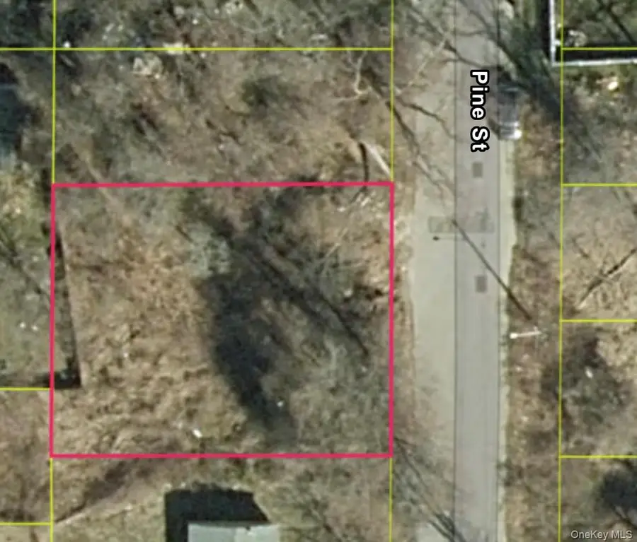 10 Pine Street, Wyandanch, NY 11798 - #2