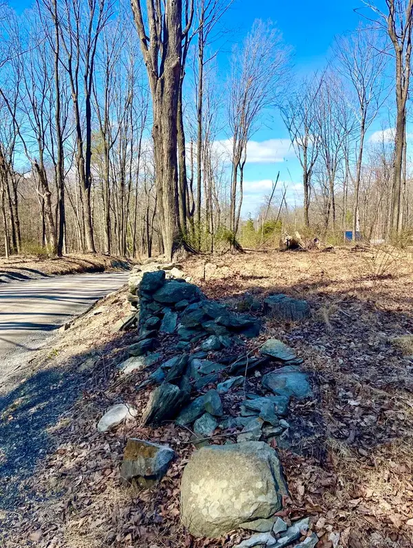 418 Browns Pond Road, Staatsburg, NY 12580