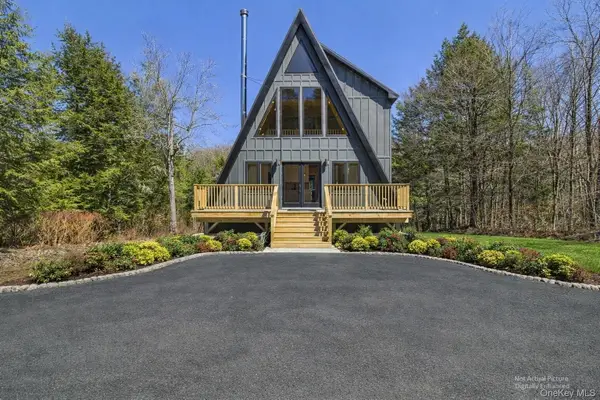 343 Dahlia Road, Livingston Manor, NY 12758