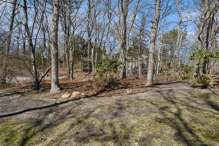 6 Columbine Avenue S, Hampton Bays, NY 11946 - #3