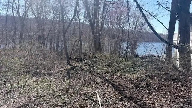 353 E Main Street, Jefferson Valley, NY 10535 - #2