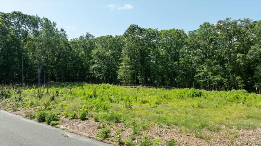 22 Inlet View Path, East Moriches, NY 11940 - #2