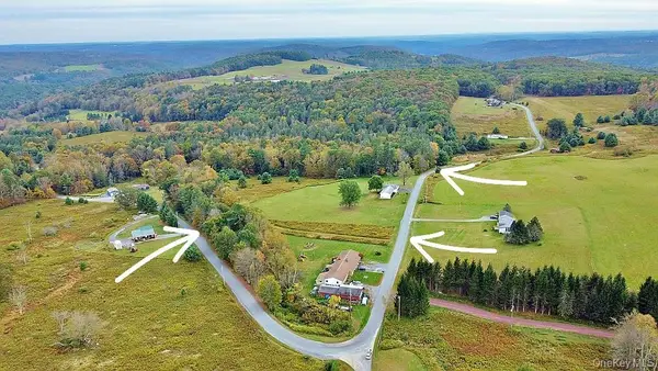 000 Kautz Road, Callicoon, NY 12723